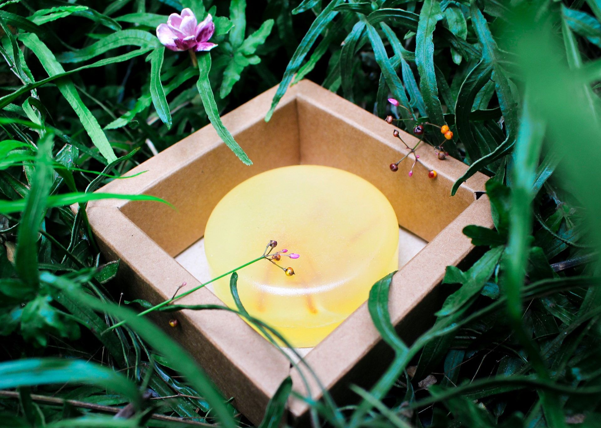 EcoGlow Organic Soap